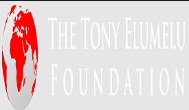 Tony Elumelu Foundation
