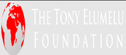 Tony Elumelu Foundation
